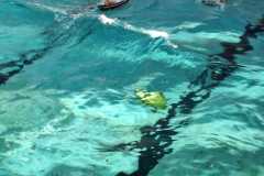 IMG-20230114-WA0007