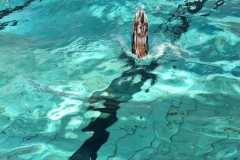 IMG-20230114-WA0027