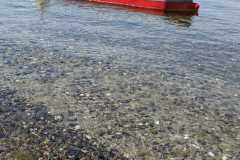IMG-20230617-WA0019