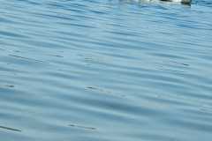 IMG-20230617-WA0033