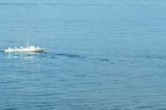 IMG-20230617-WA0072