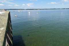 IMG-20230617-WA0073