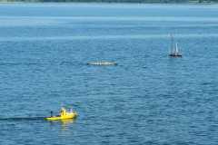 IMG-20230617-WA0083