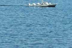 IMG-20230617-WA0088