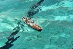 IMG-20230114-WA0013