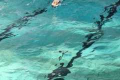 IMG-20230114-WA0017