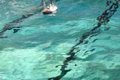 IMG-20230114-WA0020