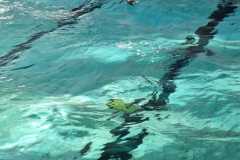 IMG-20230114-WA0022