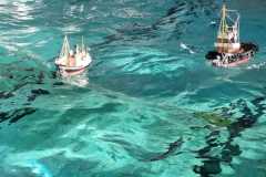 IMG-20230114-WA0028
