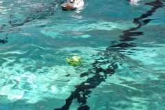 IMG-20230114-WA0029