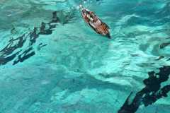 IMG-20230114-WA0038