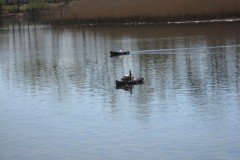 IMG_0564