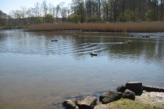 IMG_0566
