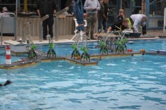 IMG_0036