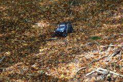 IMG-20221023-WA0022