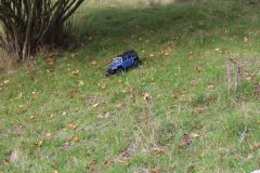 IMG-20221023-WA0040