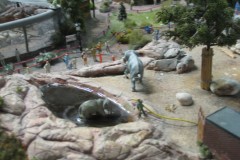 IMG_0011