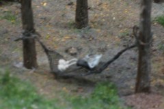 IMG_0048