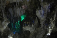 IMG_0066