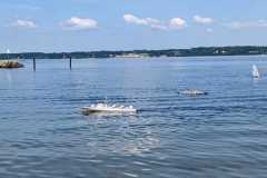 IMG-20230617-WA0036
