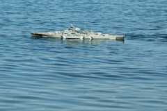 IMG-20230617-WA0041