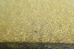 IMG-20230617-WA0057