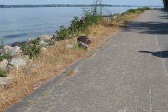 IMG_0197