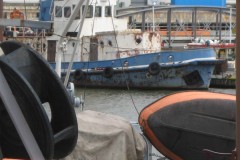 IMG_0221