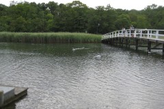 IMG_0314