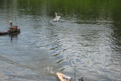 IMG_0008