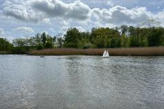 IMG-20220514-WA0005