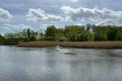 IMG-20220514-WA0025