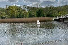 IMG-20220514-WA0040