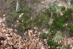 IMG-20230212-WA0017